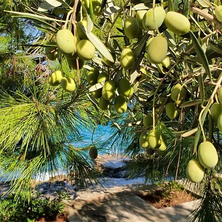 Beachfront Dream With Pool וילה