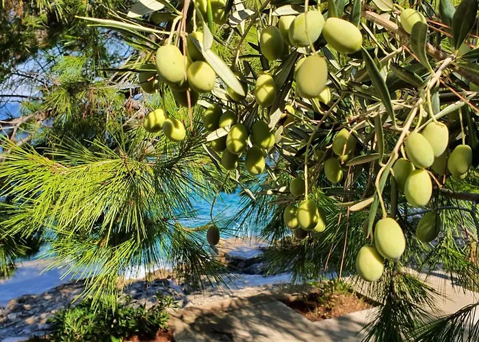 Beachfront Dream With Pool Villa